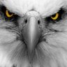مسلم profil fotoğrafı