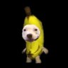 Blacelus's profile picture