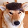 BiGAss 的头像