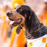 K D's profile picture