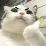 Profilbild von masmrs