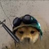 Trade Sniper 🏴‍☠️🦍's profile picture