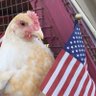 BigAl01234's profile picture