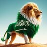 Profilbild von abdullah 🇸🇦
