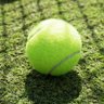 Profilbild von Tennisball