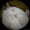 KT profil fotoğrafı