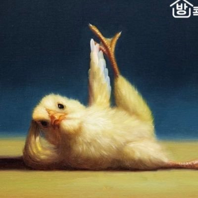 君君(๑• ɞ•)'s profile picture