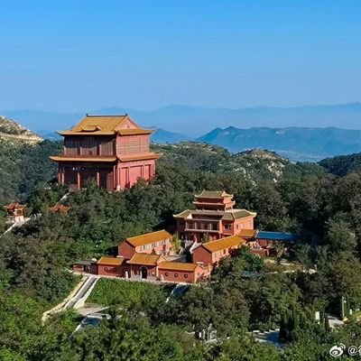 榴莲千层's profile picture