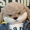Profilbild von Gzy