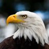 MetinAliFeyyaz profil fotoğrafı