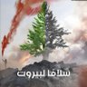 Profilbild von حسين البرقعاوي