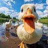 南哥_eth profil fotoğrafı