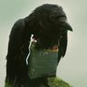 Brother Crow 的头像