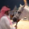 Фото профиля سعد بن حسين