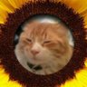 Kay Demure profil fotoğrafı