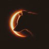 Michaeldagreat ๐ณ๐ฌ's profile picture
