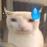 🗣️ 𝐂𝐫𝐲𝐩𝐭𝐨𝐜𝐫𝐞𝐬𝐭 🎯's profile picture