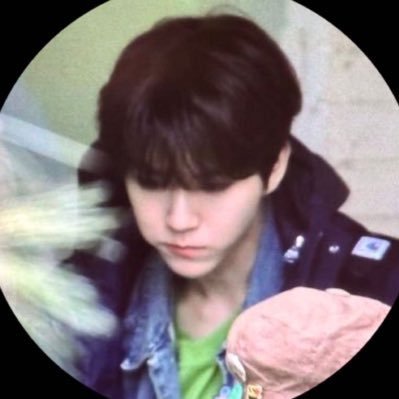 GoGo's profile picture