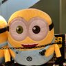 ふーが profil fotoğrafı
