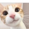 Tothe-Tee profil fotoğrafı