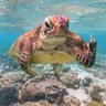Фото профиля mR.sEpiT_uDanG