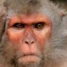Mohmmed profil fotoğrafı