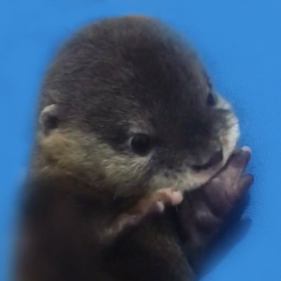 MarcellDegen's profile picture