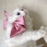 منى's profile picture
