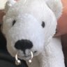 Profilbild von Liam🐻❄️🏳️⚧️