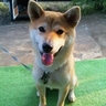 みんみん profil fotoğrafı