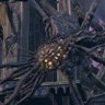 Artorias's profile picture