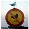 Bob McKnob's profile picture