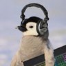 Eyad Gaming's profile picture