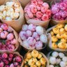 Фото профиля Linda Sallam