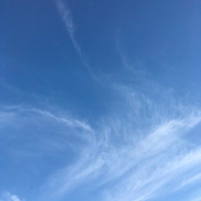 qwe9861238's profile picture