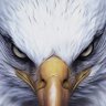 aniss profil fotoğrafı