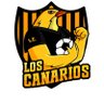 Фото профиля Canarios Fútbol Podcast
