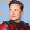 Elon Musk (Parody) profil fotoğrafı