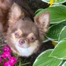 Фото профиля Maggie