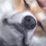 Profilbild von Chizz Roper