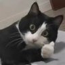 Profilbild von Seediqber