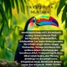 mohd faizal profil fotoğrafı