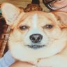 夏空's profile picture