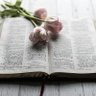 Passionnée par la Bible. profil fotoğrafı