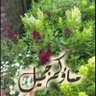 ياسر الغامدي 的头像