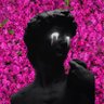 fomo king's profile picture