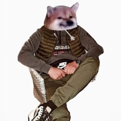 mirkolazarevicM's profile picture