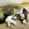 Zimby profil fotoğrafı