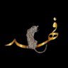 🧭 فهد بن عبدالله 🕋's profile picture