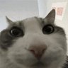 jayuzcs2's profile picture